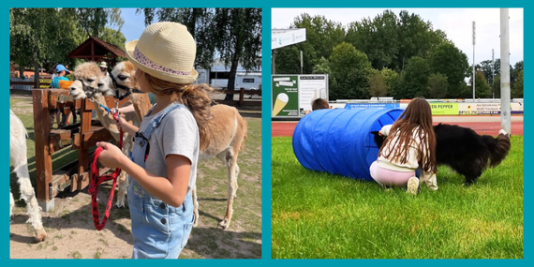 zwei Bilder nebeneinander, links ein Kind, das einem schwarzen Hund hilft, durch eine Röhre zu laufen, rechts ein Kind zwischen mehreren Alpakas